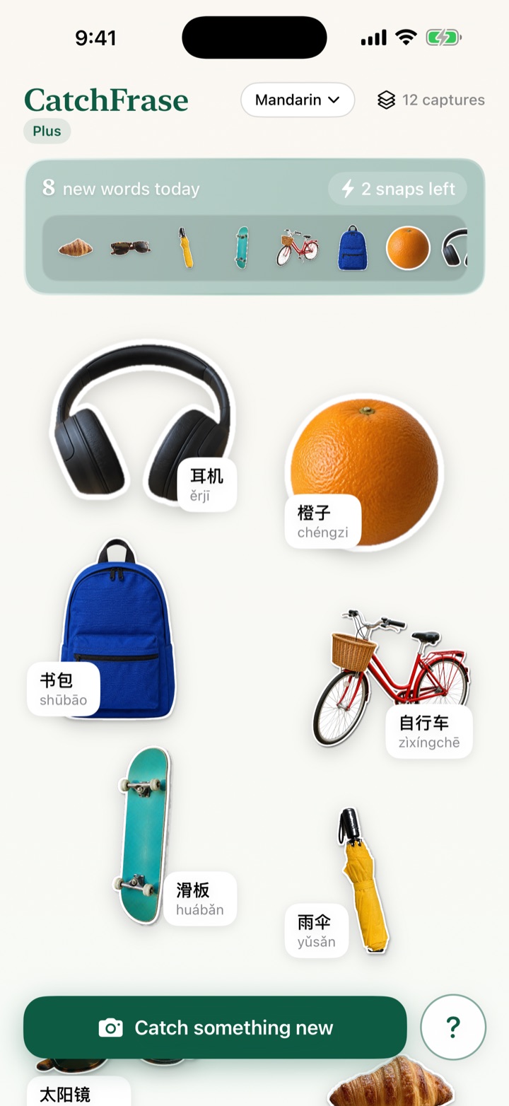 A gallery of twelve caught objects as sticker cards, each with its word in the learning language.